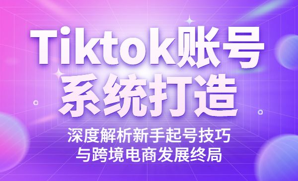 Tiktok账号系统打造，深度解析新手起号技巧与跨境电商发展终局_wwz