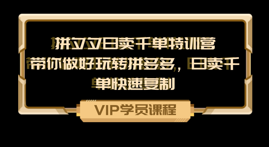 拼夕夕日卖千单特训营，带你做好玩转拼多多，日卖千单快速复制_wwz
