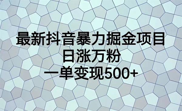 《抖音暴.力掘金项目》日涨万粉，多种变现方式，一单变现可达500+